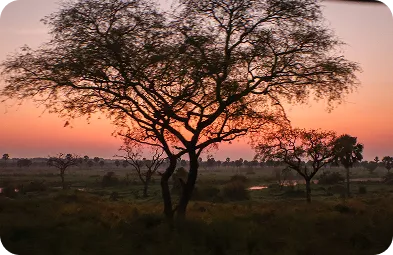 gallery-2