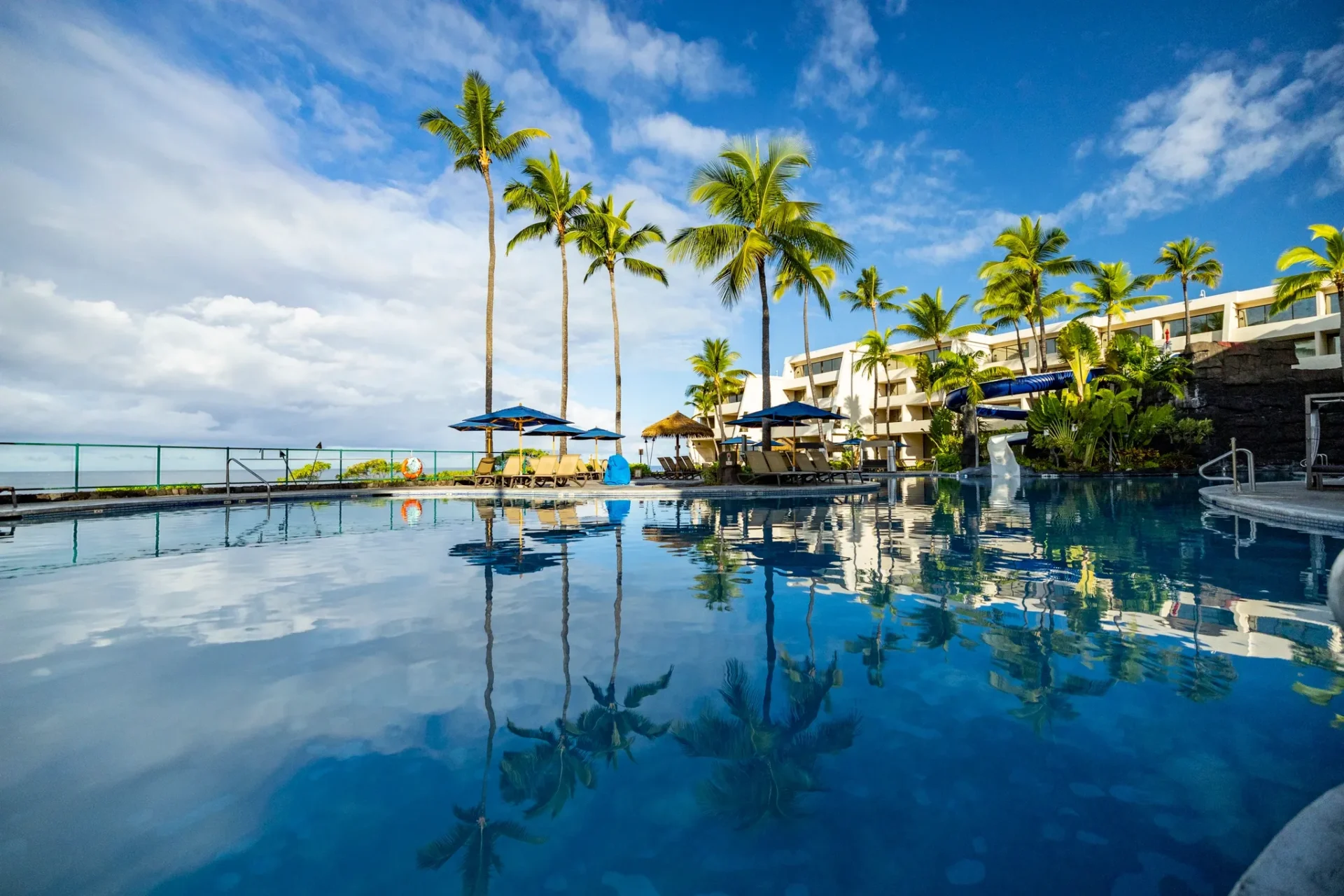 1 A pool with palm trees and blue skies