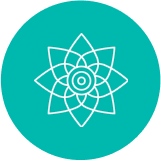 Professional Renewal